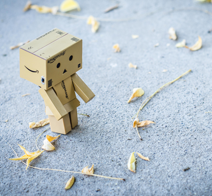 爱上海：Endless charm! Stroll through Shanghai's Backyard Garden and enjoy the perfect blend of urban and natural beauty!