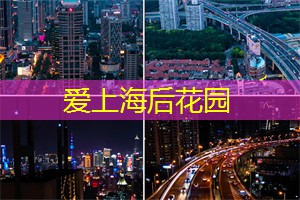 爱上海：享受大自然的宁静与美丽