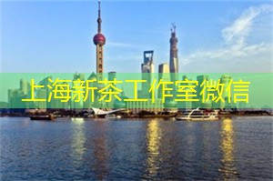 爱上海：上海市重大科技项目