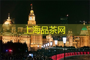 上海江边露天音乐节，带你感受浪漫的夏夜