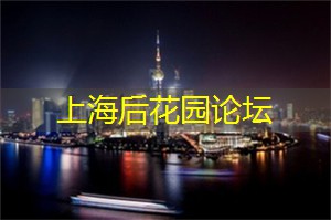 爱上海：如果您对历史文化感兴趣