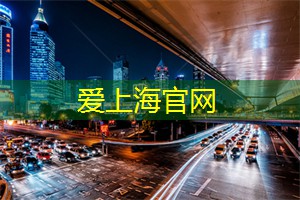 随风而去的蒲公英 随风而去的蒲公英