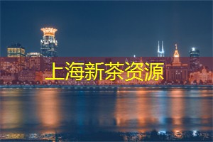 爱上海419：领导力与团队合作：上海运动的客观分析
