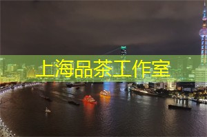 上海娱乐网：夜空中的星辰与浪漫故事